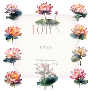 Clipart acquerello di fiori di loto / Set JPG di Nelumbo Nucifera / Artigianato di carta, creazione di biglietti, pianificatore, invito, cancelleria, abbigliamento, asilo nido, diario