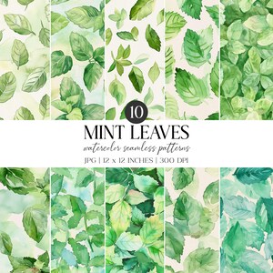 Mint Leaves Watercolor Seamless Pattern | Greenery Digital Paper (JPG)