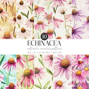 Echinacea Aquarell Muster | Florales Digitales Papier Set (JPG)