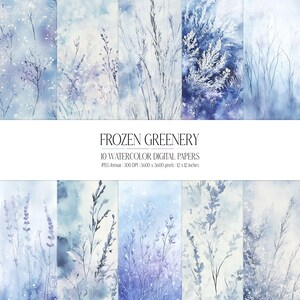 Carta digitale per acquerello Frozen Greenery / Collezione di sfondi astratti moderni / Set JPG di Icy Meadow / Texture invernale / Arctic Botanical