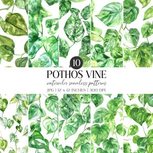 Watercolor Pothos Leaves Seamless Pattern | Greenery Digital Paper (JPG)