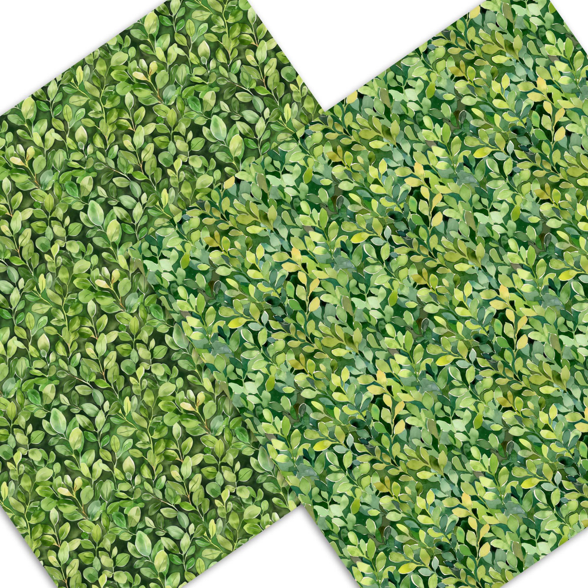Boxwood Pattern Boxwood Watercolor Pattern | Seamless Greenery Digital Paper (JPG) - Etsy