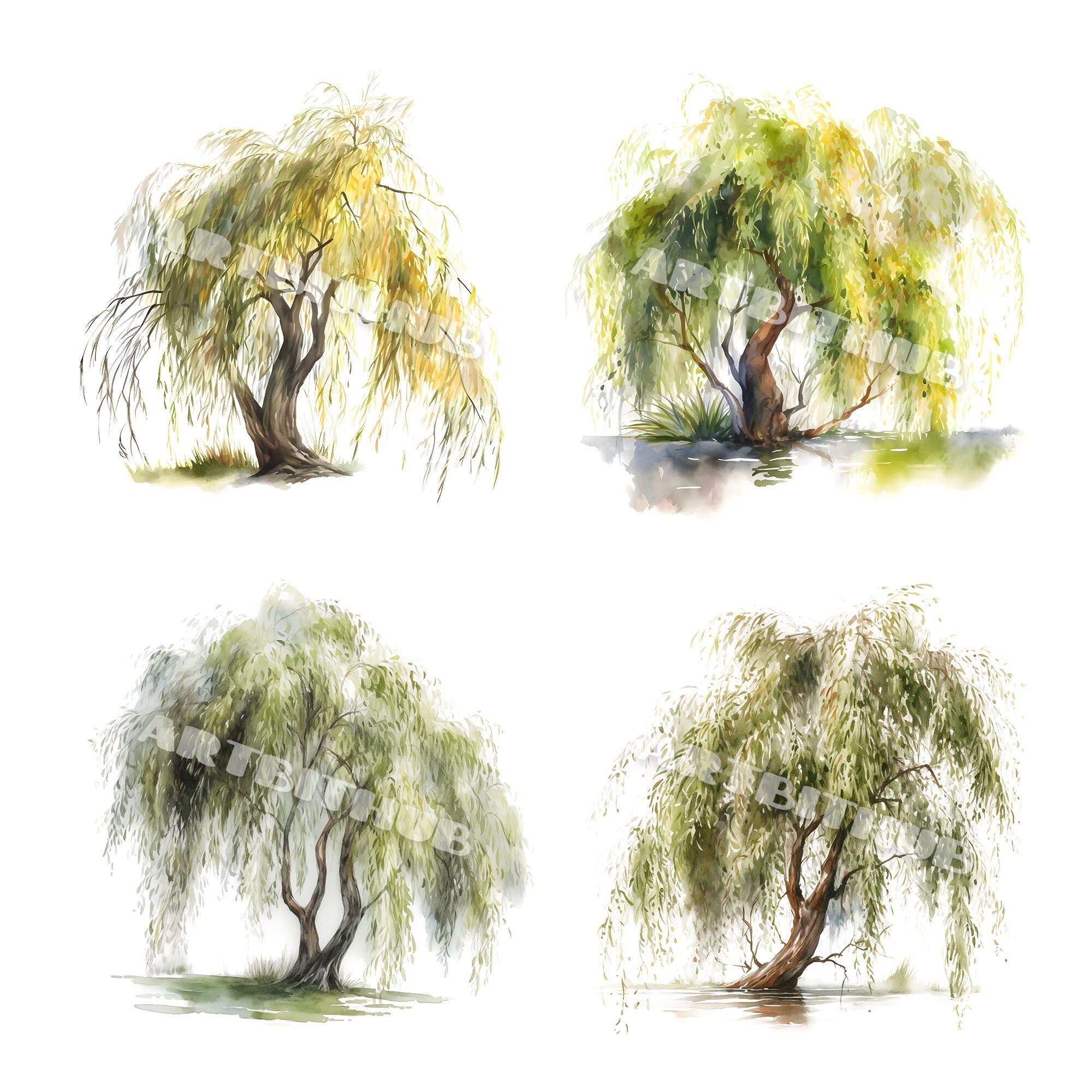 Willow Tree Watercolor Clipart | Sallow Shrub JPG Set | Stationery ...