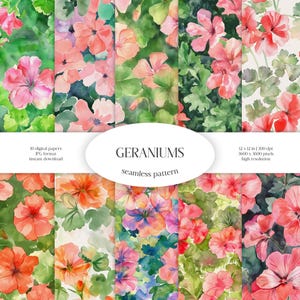 Modèle sans couture aquarelle de géraniums | Paquet de papier numérique JPG floral et verdure | Texture d'arrière-plan | Fleurs ornementales | Tissu, habillement