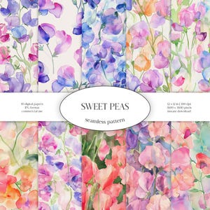 Aquarelle transparente motif pois de senteur | Paquet de papier numérique JPG floral et verdure | Texture d'arrière-plan | Fleurs ornementales | Vêtements en tissu