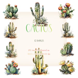 Clipart de acuarela de cactus del desierto / Conjunto de cactus suculentos en formato JPG / Papelería, manualidades de papel, fabricación de tarjetas, ropa, impresión digital, planificador, paisajes