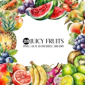Clipart de frutas en acuarela: Colección de frutas tropicales de verano (archivos PNG)