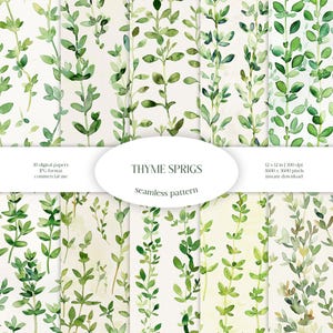 Modèle sans couture aquarelle de brins de thym | Paquet de papier numérique JPG de verdure et de fleurs | Texture de fond botanique | Branche d'herbes ornementales