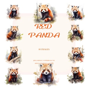 Clipart de acuarela de panda rojo bebé / Lindo conjunto de oso asiático en formato JPG / Papelería de bricolaje, manualidades de papel, ropa, planificador, fabricación de tarjetas, invitaciones, guardería