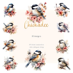 Aquarelle mésange | Ensemble JPG oiseau mignon | Chambre de bébé, Papeterie, Fabrication de cartes, Impression numérique, Créations en papier, Vêtements, Agenda, Faire-part