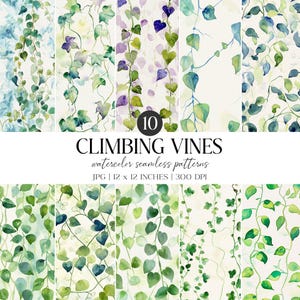 Aquarelle transparente motif vignes grimpantes | Papier numérique botanique (JPG)