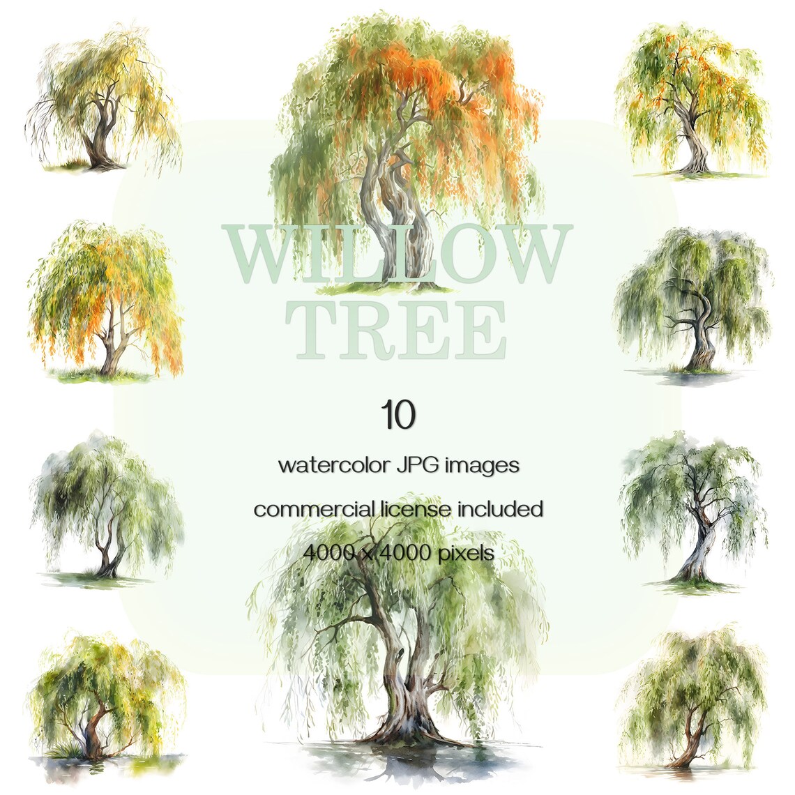 Willow Tree Watercolor Clipart Sallow Shrub JPG Set - Etsy