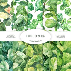 Fiddle Leaf Fig Acquerello Seamless Pattern / Pacchetto di carta digitale JPG verde e floreale / Trama di sfondo / Tessuto per abbigliamento con foglie ornamentali