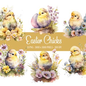 Clipart di pulcini ad acquerello - Set di uccelli e fiori per le vacanze di Pasqua - Elementi fai da te per inviti, biglietti d'auguri, cancelleria, album di ritagli, poster