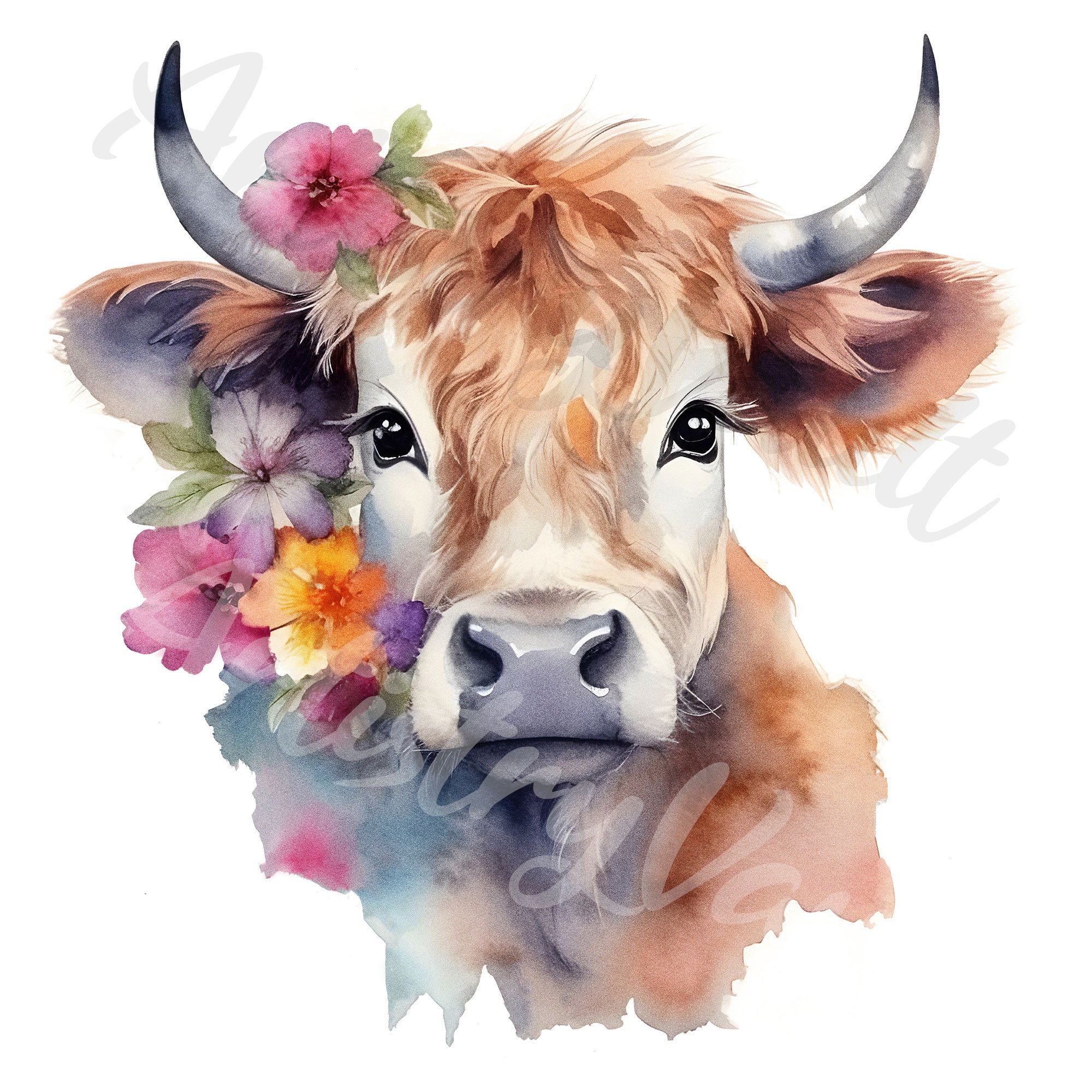 Highland Calf Watercolor Clipart Baby Cow & Flowers JPEG - Etsy