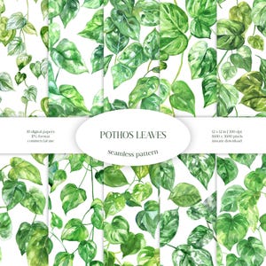 Pothos lascia il modello senza cuciture dell'acquerello / pacchetto di carta digitale JPG verde e floreale / texture di sfondo / foglia ornamentale / tessuto per abbigliamento
