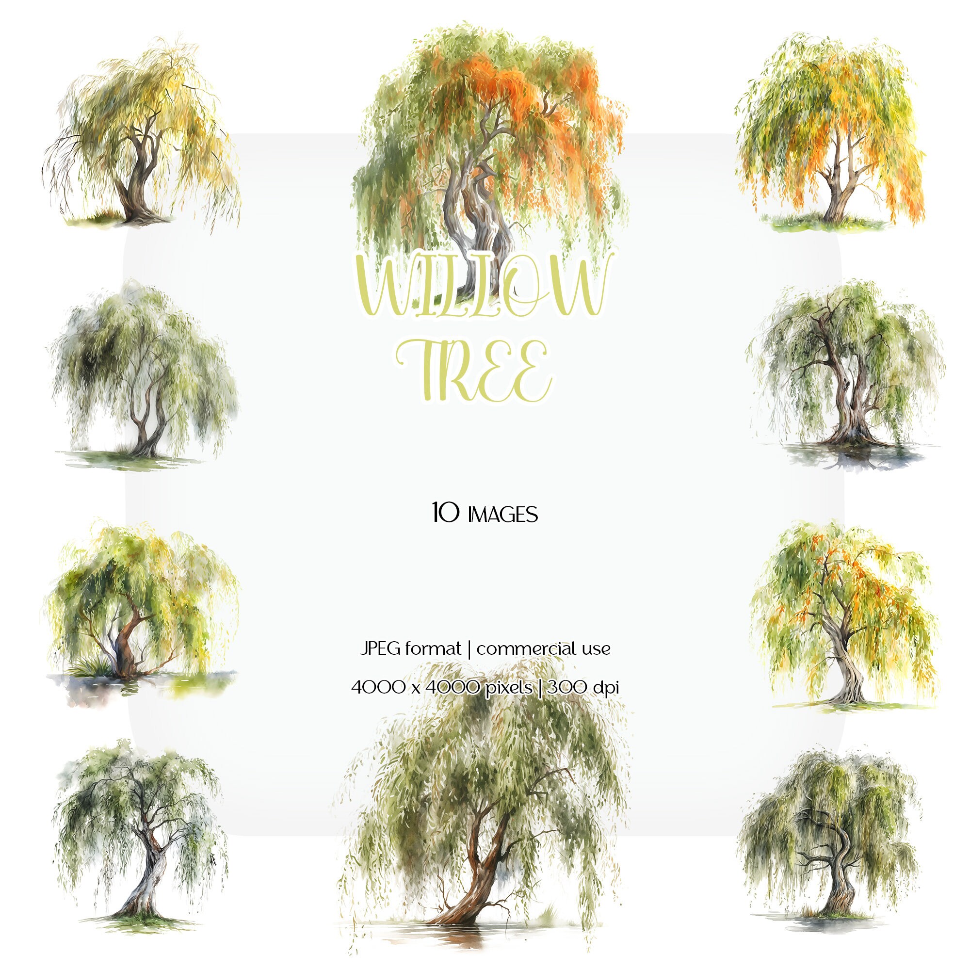 Willow Tree Watercolor Clipart | Sallow Shrub JPG Set | Stationery ...