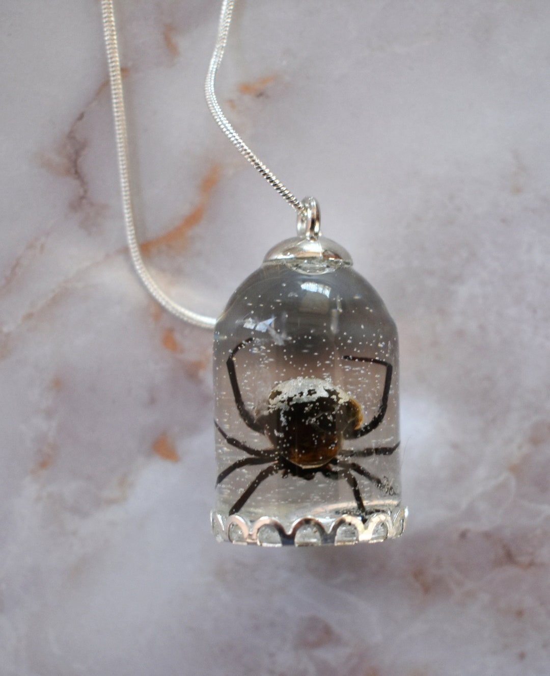 OPHELIA Real Female Black Widow Spider Necklace Etsy Canada