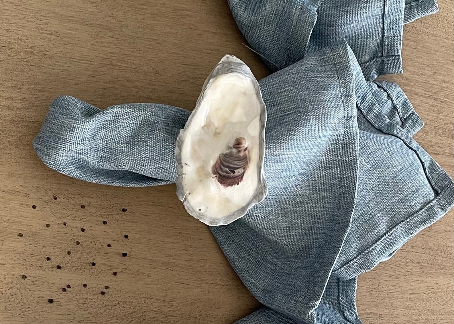 Oyster Shell Napkin Rings set of 4 - Etsy