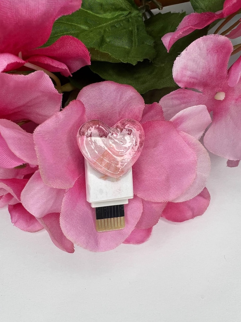 Puede incluir: Una unidad USB transparente en forma de coraz&oacute;n se encuentra sobre una base blanca, rodeada de p&eacute;talos de flores rosas y hojas verdes. La unidad USB tiene un tono rosado y est&aacute; colocada en el centro de la imagen. El fondo es blanco.