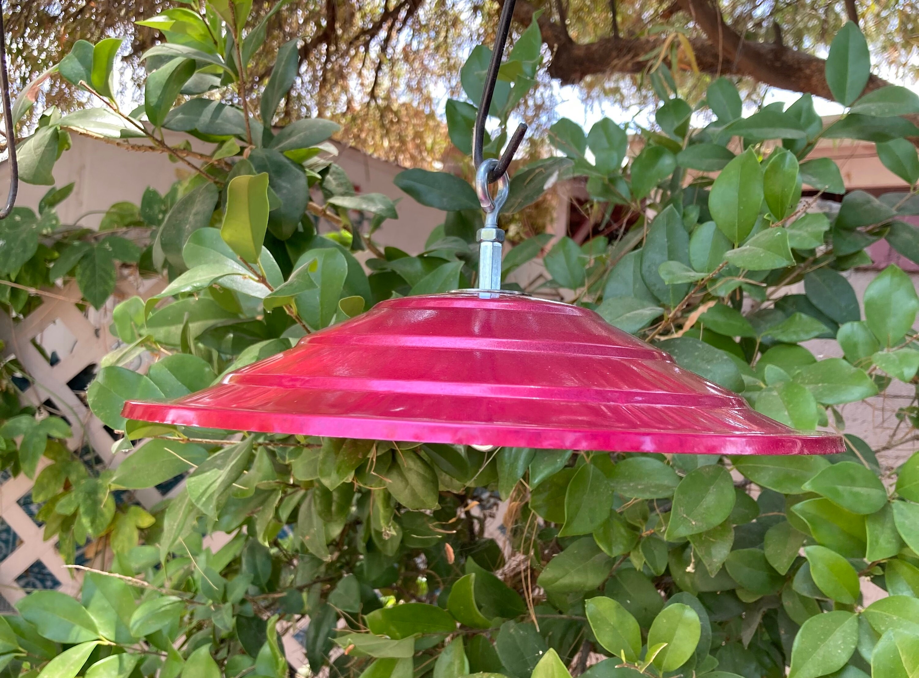 Hummingbird Feeder Rain Guard Bird Feeder Umbrella Bird Etsy