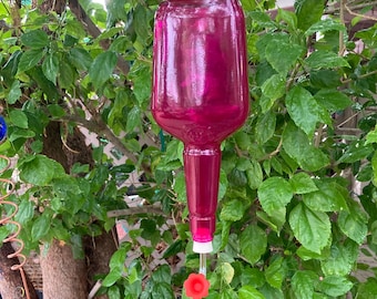 May include: A magenta-colored glass hummingbird feeder hanging from a tree branch. The feeder has a bottle-shaped reservoir and a long, narrow feeding tube with a red flower-shaped perch. The background is filled with green leaves.