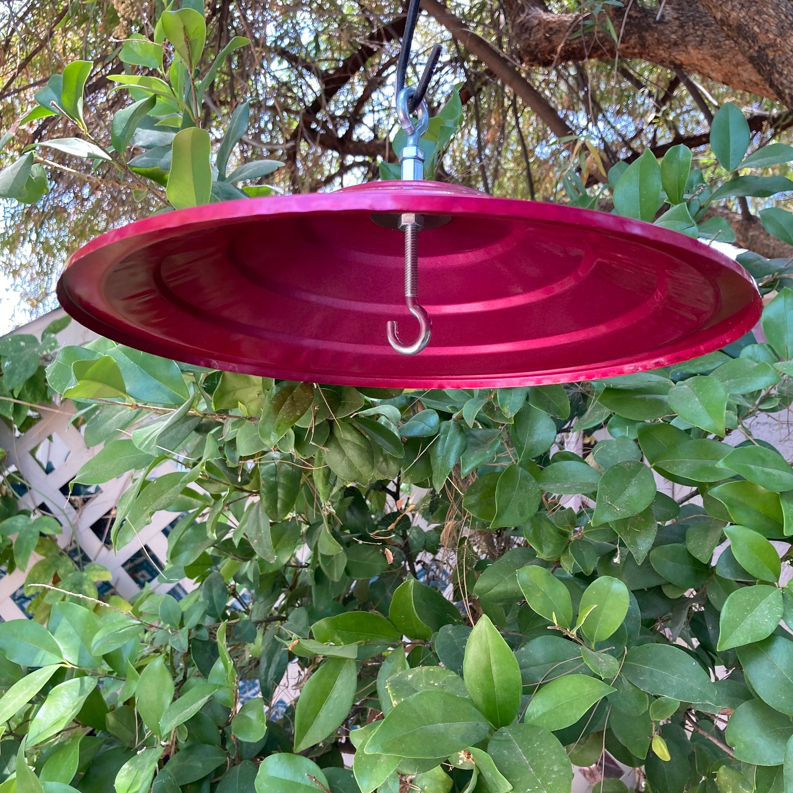 Hummingbird Feeder Rain Guard Bird Feeder Umbrella Bird Etsy