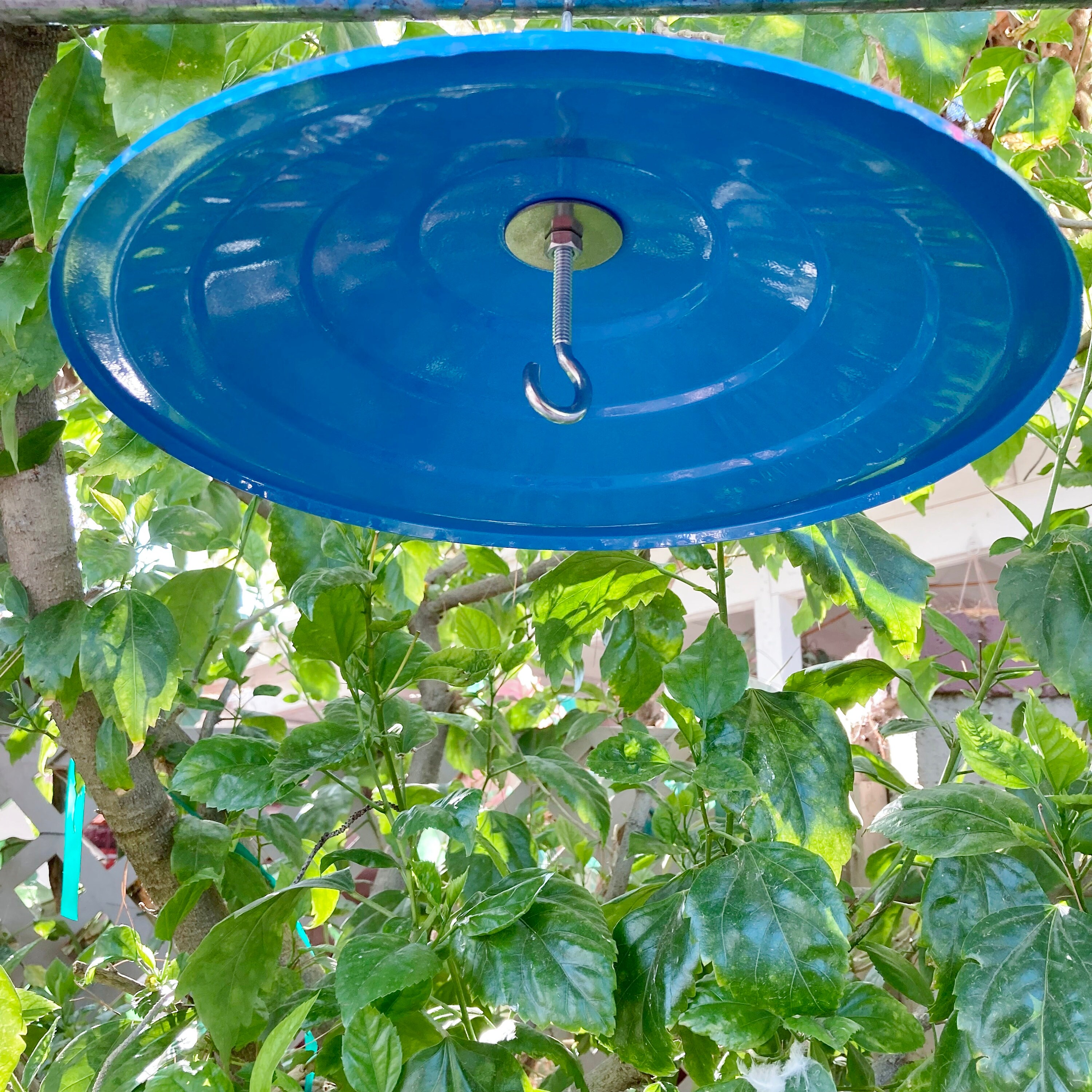 Bird Feeder Rain Guard Bird Feeder Umbrella Bird Feeder Etsy