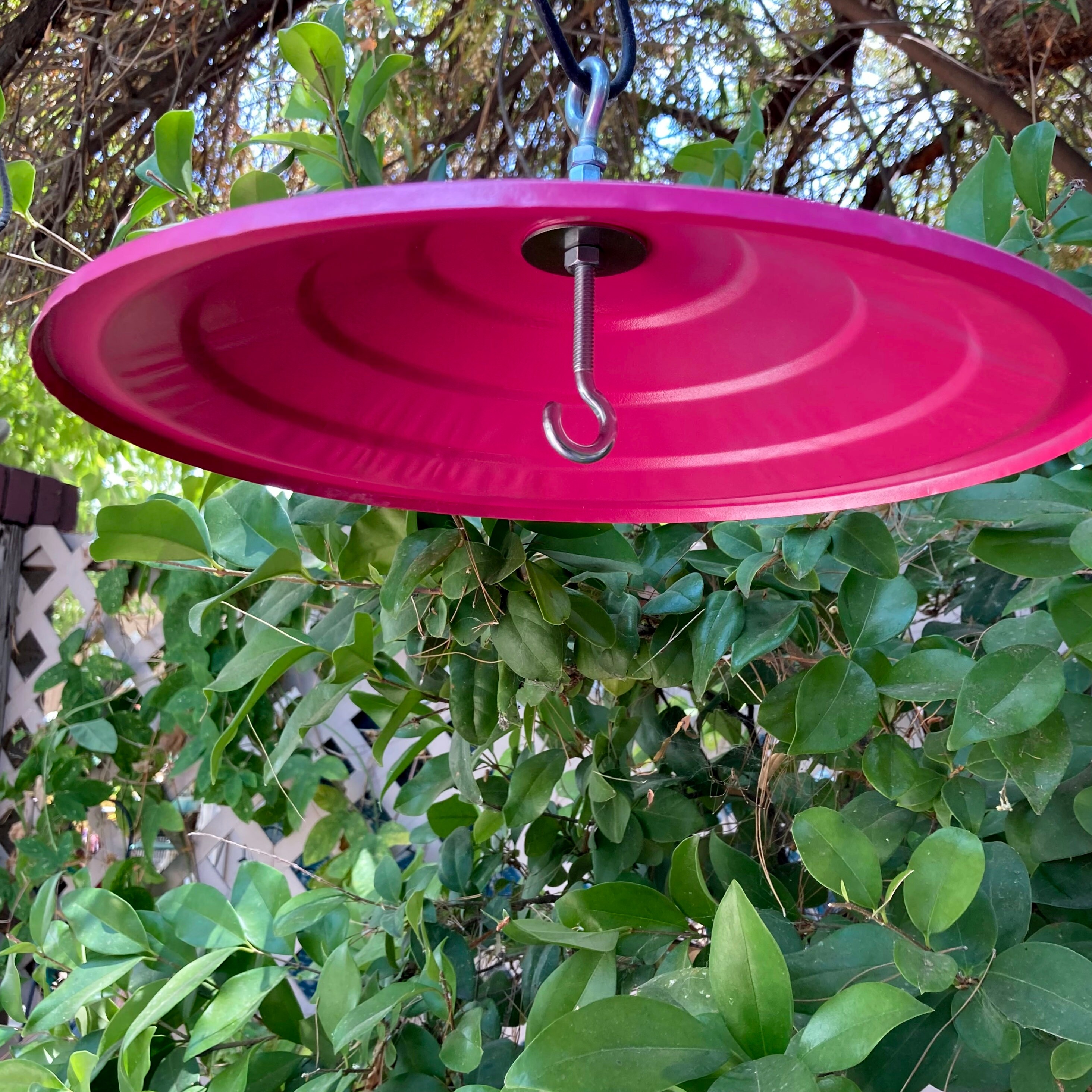 Bird Feeder Weather Guard Bird Feeder Umbrella Bird Feeder Etsy