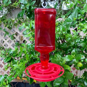 Recycled Glass Bird Feeder: Backyard Garden Art, Thistle Seed Feeder