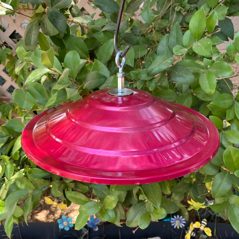 Hummingbird Feeder Rain Guard Bird Feeder Umbrella Bird Etsy