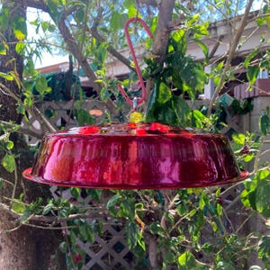 Bird Feeder Umbrella, Large 12 inch Bird Feeder Shade, Hummingbird Feeder Shade, Bird Feeder Weather Guard, Rain Guard, Bird Lover Gift