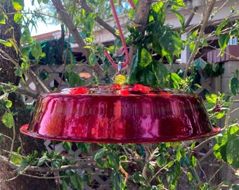 May include: A red metal bird feeder with a hook for hanging. The feeder is hanging from a tree branch.