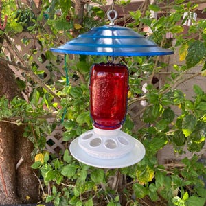 Mason Jar Bird Feeder, Seed Feeder, Bird Feeder Umbrella,  Metal Rain Guard, Chicken Feeder, Hummingbird Feeder Shade, Handmade in the USA