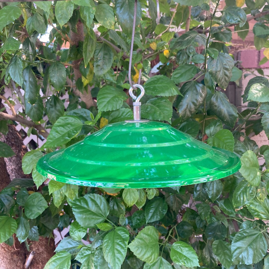 Hummingbird Feeder Rain Guard Bird Feeder Umbrella Bird Etsy
