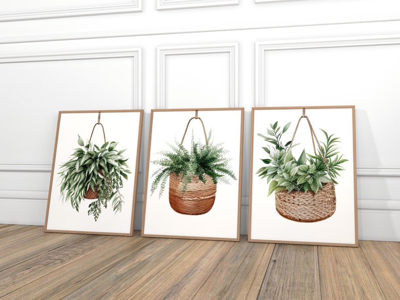 Hanging Baskets With Plants Art Prints Gallery Set of 3 Houseplant Wall