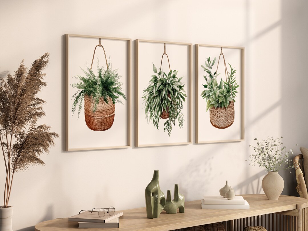 Hanging Baskets With Plants Art Prints Gallery Set of 3 Houseplant Wall