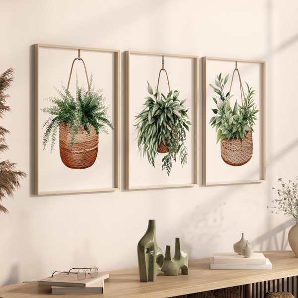 Hanging Baskets with Plants Art Prints - Gallery Set of 3 Houseplant Wall Art | Botanical Plant Paintings - Hanging Planter Wall Art