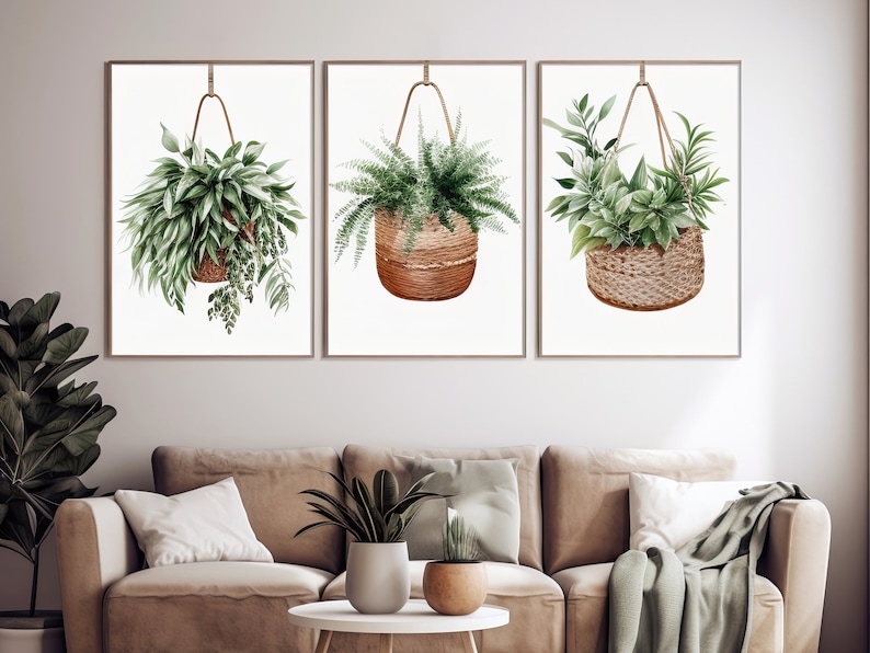 Hanging Baskets With Plants Art Prints Gallery Set of 3 Houseplant Wall