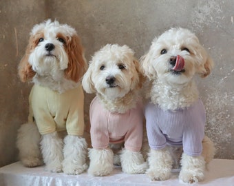 Made in Korea Dog Sweater, Cute Sweater, Pet Sweater, Cat Sweater, Colorful Sweater, Size Small to Large, Dog clothes, Pet Clothing