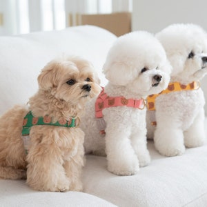 Made in Korea Bear Printing No Pull Harness, Cute Harness, Harness Set, Size Small to Large, Dog clothes, Pet Clothing Shop
