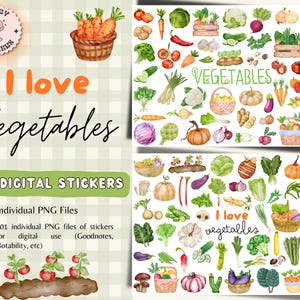 May include: 101 digital stickers featuring watercolor illustrations of various vegetables, including carrots, onions, garlic, mushrooms, peppers, and more. The stickers are perfect for adding a touch of whimsy to planners, journals, and other creative projects.