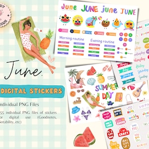 June Digital Stickers for Goodnotes, Month of June, Monthly Stickers, Daily Stickers, June Stickers, Summer June Stickers, PNG Stickers iPad