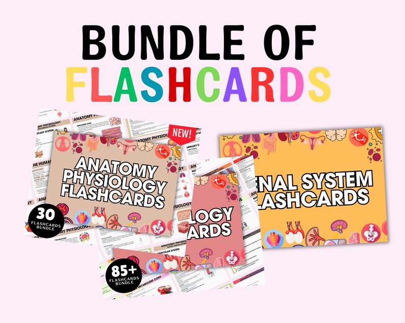 May include: A bundle of flashcards with the text "BUNDLE OF FLASHCARDS" in large, colorful letters. The flashcards cover anatomy and physiology, with titles like "ANATOMY PHYSIOLOGY FLASHCARDS" and "RENAL SYSTEM FLASHCARDS". The bundle includes 30 and 85+ flashcards.