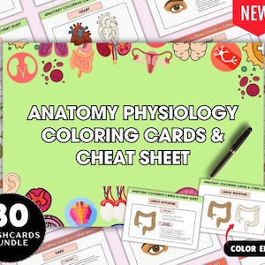 Human Anatomy Coloring Book Flashcards, Body Diagram, Medical School, Anatomy, Muscle Coloring, Anatomical Coloring Book, Bones Coloring
