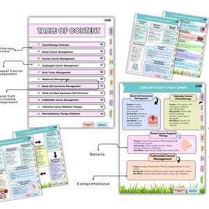 May include: A set of educational cancer study cheat sheets featuring a table of contents and detailed medical management guides. The documents include sections on chemotherapy, breast, ovarian, esophageal, brain, and colorectal cancer management.