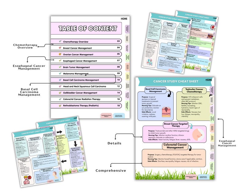 May include: A set of educational cancer study cheat sheets featuring a table of contents and detailed medical management guides. The documents include sections on chemotherapy, breast, ovarian, esophageal, brain, and colorectal cancer management.