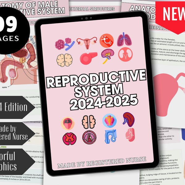 Reproductive System Nursing Notes, Reproductive System, Anatomy and Physiology, Reproductive System Notes Bundle, Nursing School