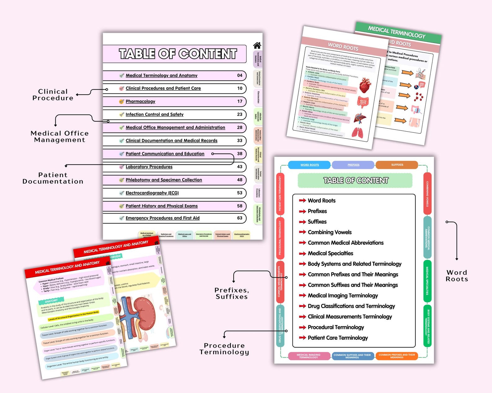 Medical Terminology Study Guide, Prefixes, Suffixes, Abbreviations, EMS ...