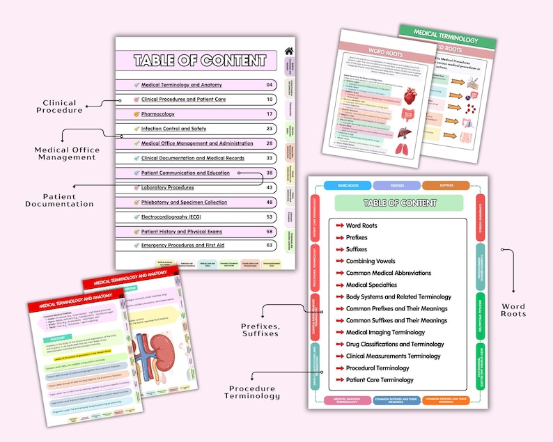 Medical Terminology Study Guide, Prefixes, Suffixes, Abbreviations, EMS ...
